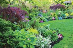 a garden filled with lots of different types of flowers and plants in it's borders