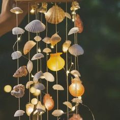 a wind chime with seashells hanging from it's strings and lights