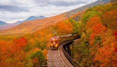 a train traveling through a lush green forest filled with fall colored trees next to a tall mountain