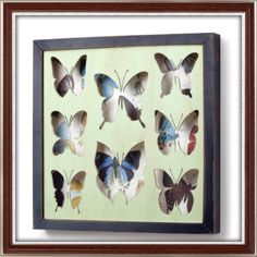 a framed photo with many different butterflies on it