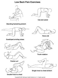 an exercise poster showing how to do back pain exercises for the lower back and upper body