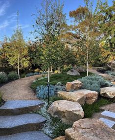 a garden with rocks, grass and trees