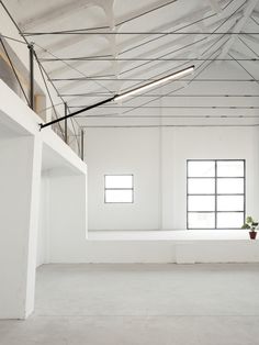 an empty white room with two windows and a plant in the corner on the far wall