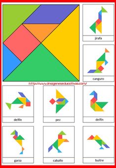 an image of different shapes and sizes of birds