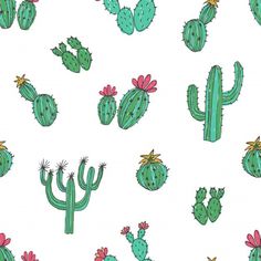 a bunch of green cactus plants on a white background royalty - art illustration stock photo