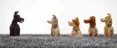 four dogs sitting in the grass with their heads turned to look like they are looking at something