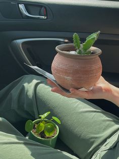 a person is holding a potted plant in their hand while sitting in the driver's seat