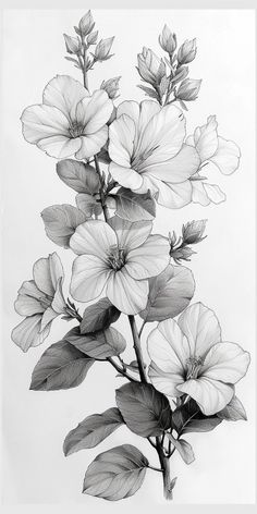 a black and white drawing of some flowers