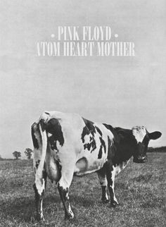 a black and white photo of a cow with the words pink floyd atom heart mother