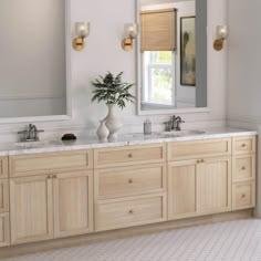 a bathroom with two sinks, mirrors and a potted plant on the counter top