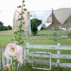 some pink flowers are in front of a white fence and thatched huts on the other side