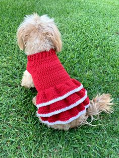 a small dog wearing a red and white crochet dress sitting in the grass