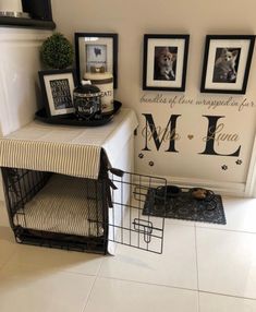 a dog crate sitting next to a wall with pictures on it