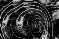 a black and white photo of a tree stump with swirls in the center, taken from above