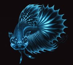 a blue fish with large wings on it's back side, in the dark