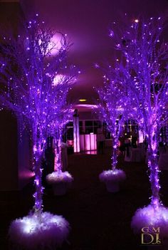 purple lighted trees in the middle of a room