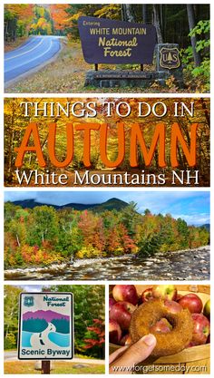 things to do in autumn white mountains national park