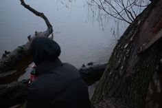 a person standing next to a tree near the water