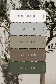 an olive tree with the names of its branches in different colors and sizes on it