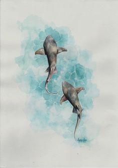 two dolphins are swimming in the ocean watercolor on paper, with blue and white clouds behind them