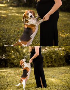 a pregnant woman is playing with her dog