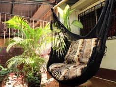 a black hammock hanging from the side of a house next to a plant