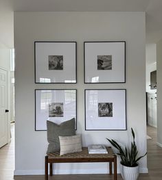 three framed pictures hang on the wall above a bench in front of a potted plant