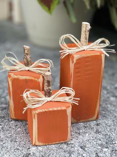 three orange blocks with twine tied to them sitting on the ground next to a potted plant