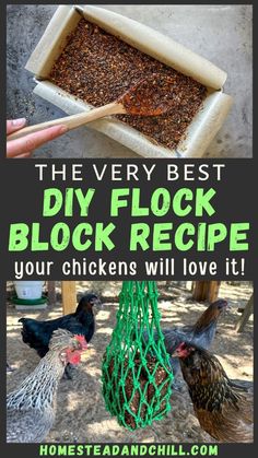 the very best diy flock block recipe your chickens will love it