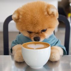 a teddy bear sitting at a table with a cup of coffee in front of him