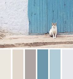 a cat sitting in front of a blue door