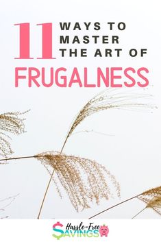 some grass with the words 11 ways to master the art of frugalness