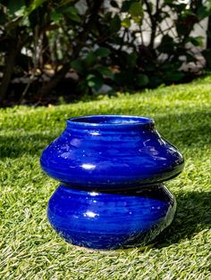 two blue vases sitting on top of green grass