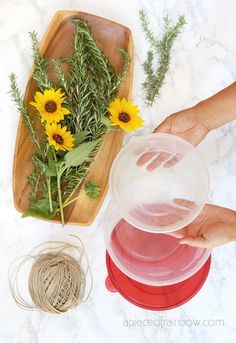 a person is holding a plastic container with flowers in it and some twine on the table