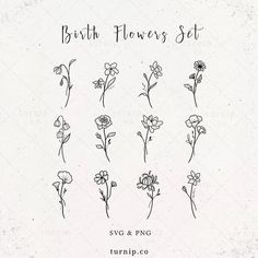 the different flowers are drawn in black and white on a sheet of paper that says birth flowers