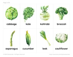 an image of vegetables that are labeled in the english language, including broccoli, kale, cabbage, cauliflower, kale, kale, cucumber, and lee