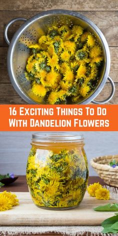 yellow flowers in a glass jar with the words 16 exciting things to do with dandelion flowers