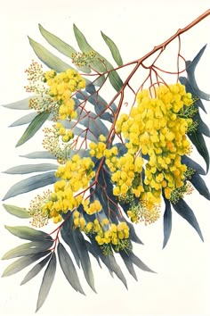 a painting of yellow flowers and leaves on a branch with green leaves in the foreground