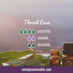 Sore Throat Diffuser Blend, Hippy Life, Oils For Sinus, Ancient Nutrition, Doterra Diffuser