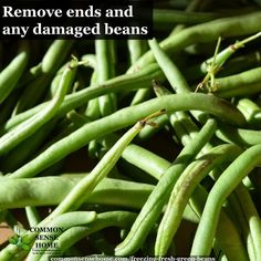 green beans are shown with the words remove ends and any damaged beans on it's side