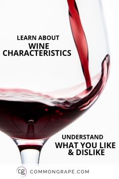 Types Of Wine Glasses, Wine Marketing, Types Of Red Wine, Wine Facts, Wine Tips, Wine Sommelier, Liquid Sunshine, Wine 101, Wine Folly