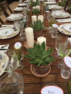 a wooden table topped with lots of plates and glasses next to a potted plant