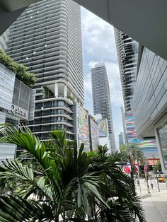 some tall buildings and palm trees in the foreground