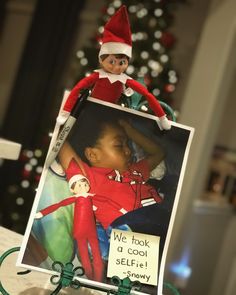 an elf is sitting on top of a shelf next to a christmas tree and a sign that says we took a cool selfie snowy