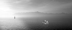 a sailboat in the middle of an ocean on a foggy day