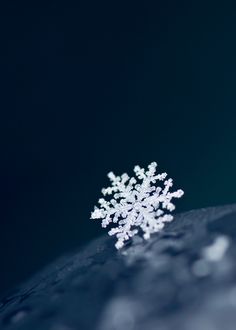 a small snowflake is sitting on the surface