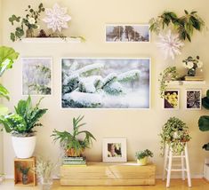 a woman standing in front of a wall filled with potted plants and pictures on it