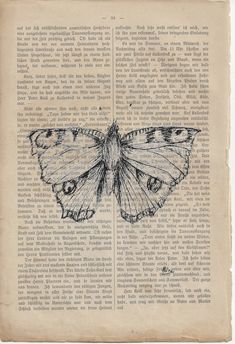 an old book page with a butterfly drawn on the top and bottom part of it