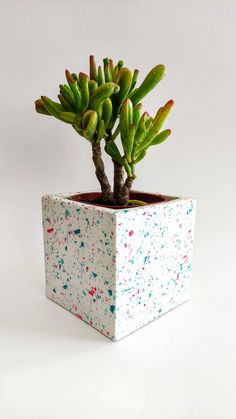 a small potted plant with splattered leaves on it's side, in front of a white background