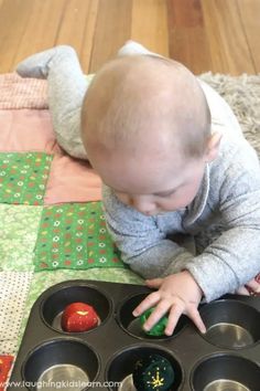 a baby playing with some cupcakes in a muffin tin